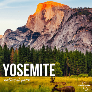 yosemite park