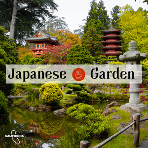 japanese tea garden