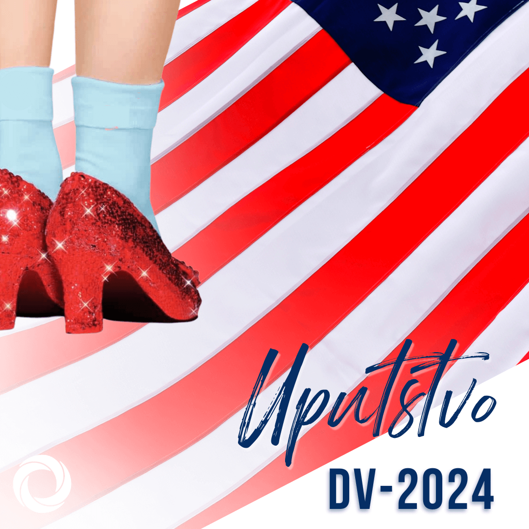 Dv2024 uputstvo